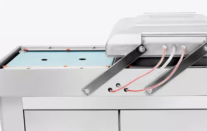 VALA - DZQ500/2SB  Floor Standing Double Chamber Vacuum Sealer